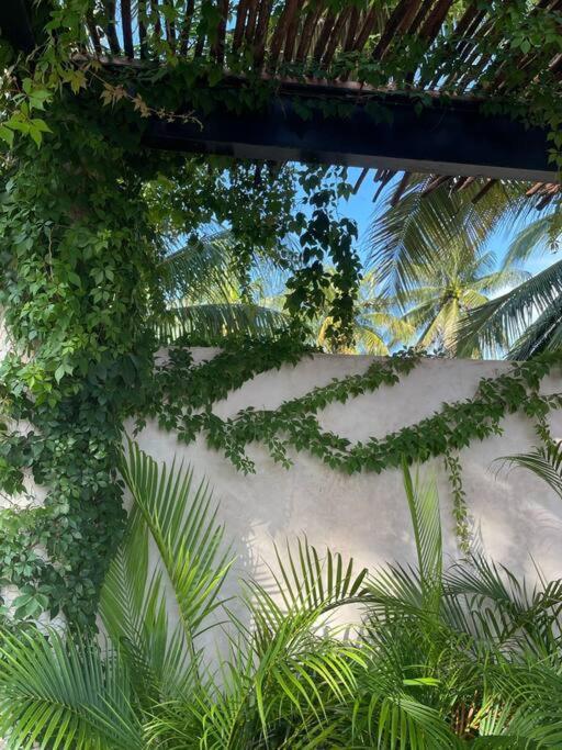 Casa Tulup Sisal Villa Eksteriør bilde